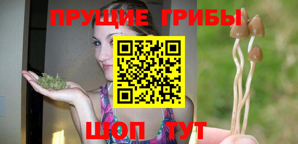 Псилоцибиновые грибы GOLDEN TEACHER Тосно